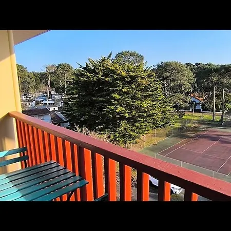 Seagulls מימיזן-פלאז'