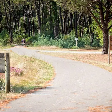 Apartamento Seagulls