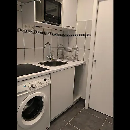 Seagulls מימיזן-פלאז'