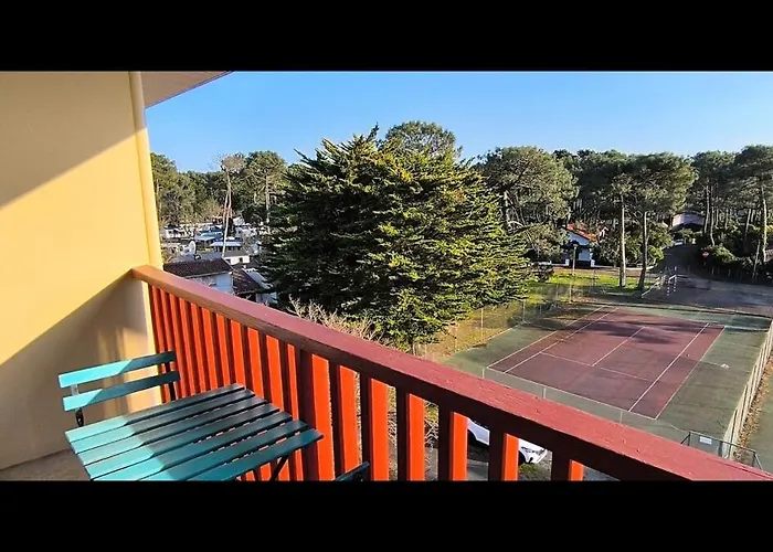 Seagulls Mimizan-Plage