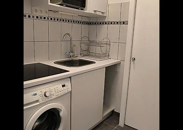 Seagulls Mimizan-Plage